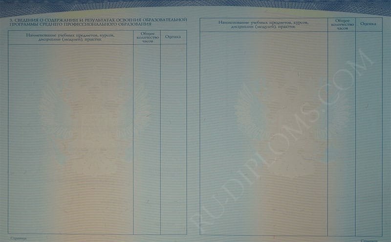 Диплом техникума или колледжа 2014-2025 НОВОГО ОБРАЗЦА 